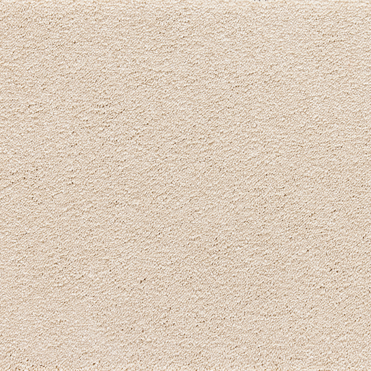 Direct Saxony Twist Carpet