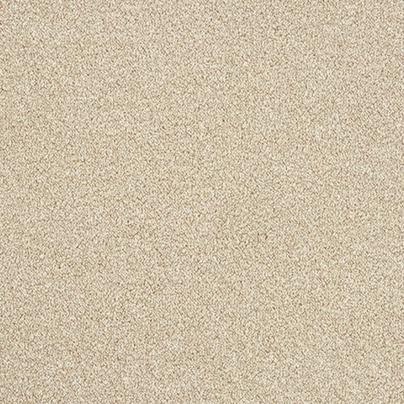 Direct Ultra Twist Carpet