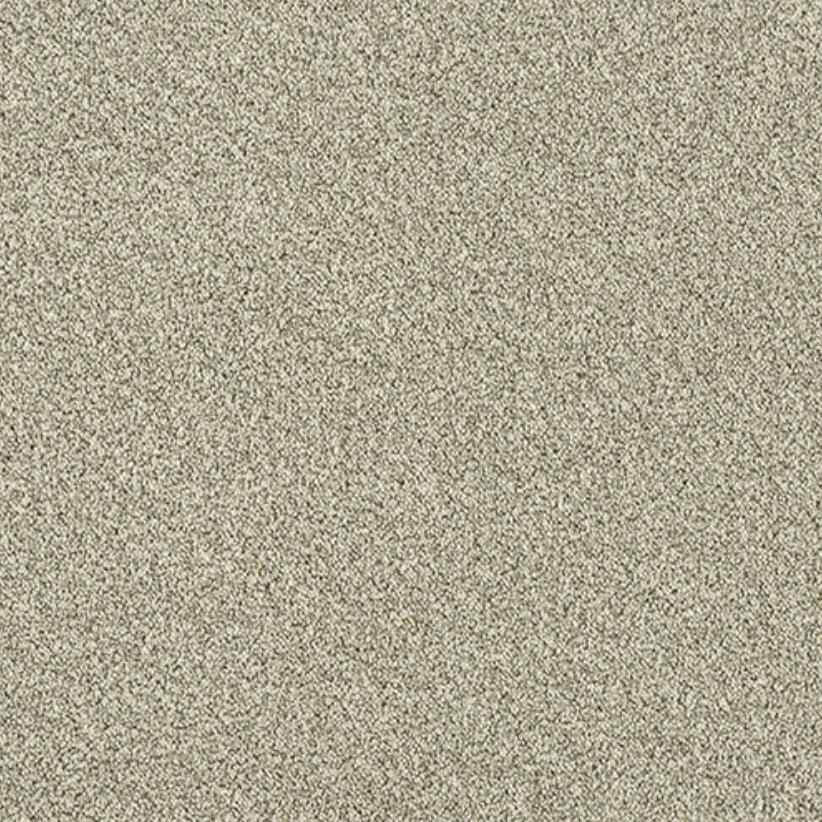 Direct Ultra Twist Carpet