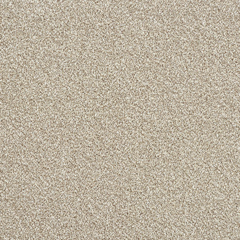 Direct Ultra Twist Carpet