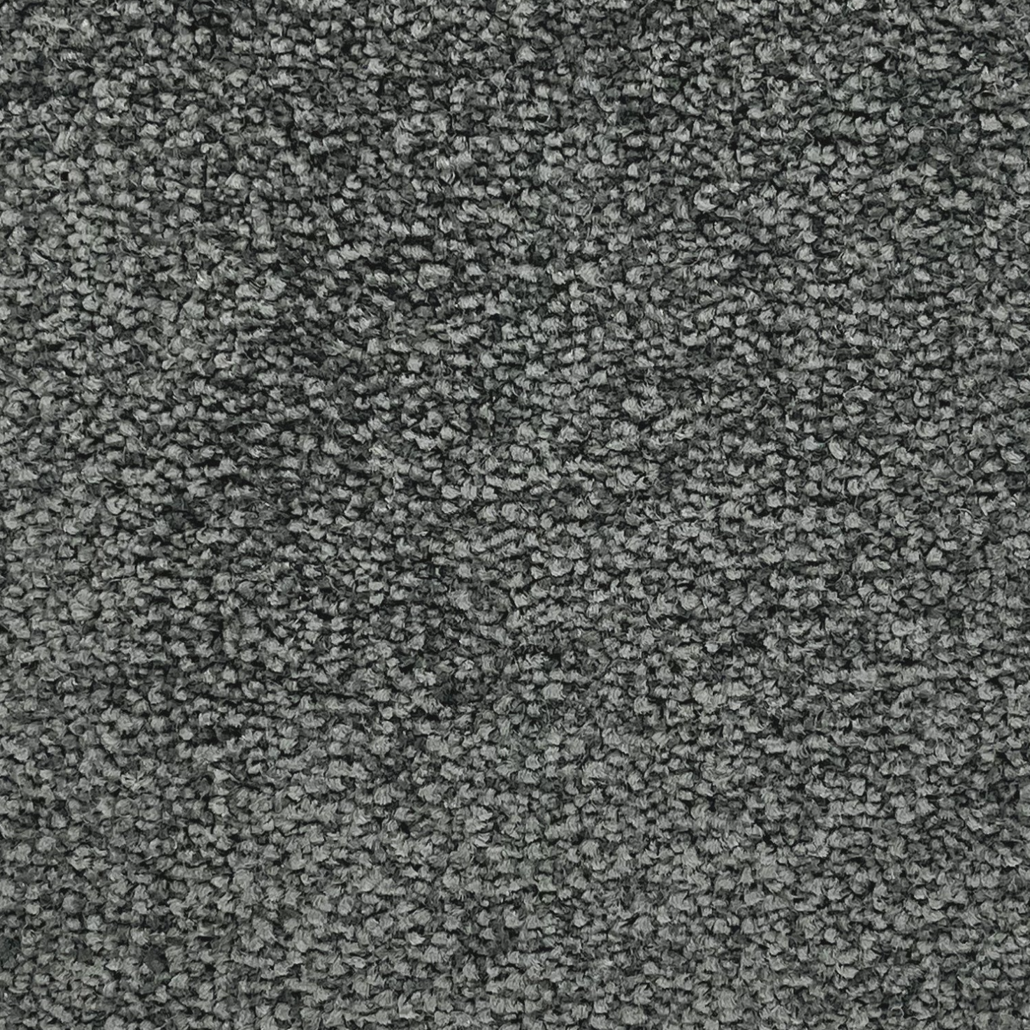 Estuary Twist Carpet