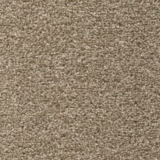 Direct Twist Carpet