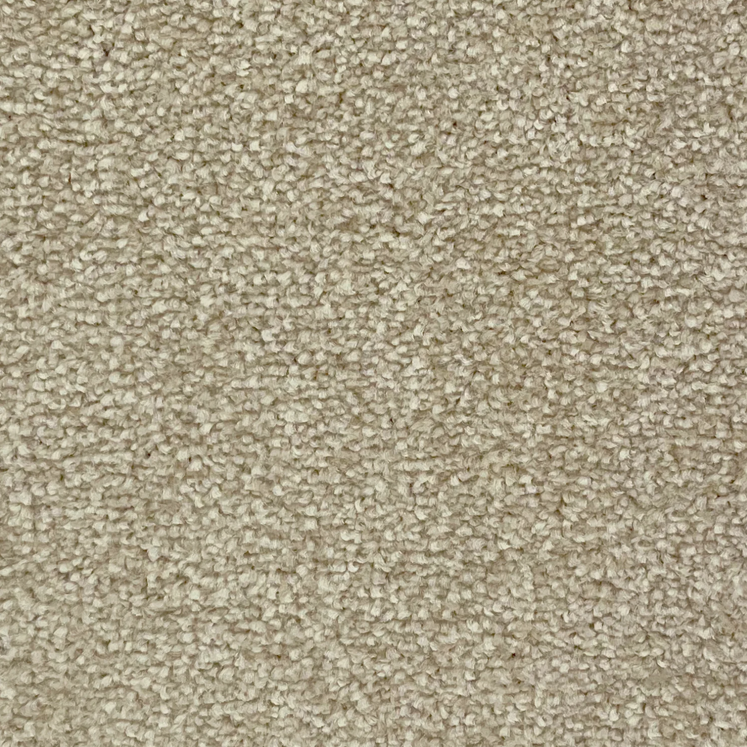 Estuary Twist Carpet